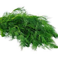 Feuille d'aneth